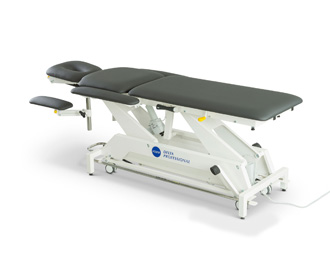Lojer Delta Professional Treatment Table